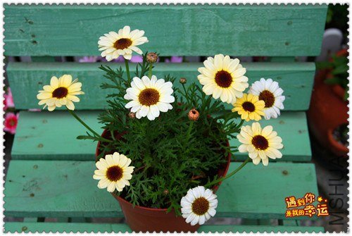 ��Ƭ 025a_����.jpg