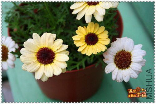 ��Ƭ 025b_����.jpg