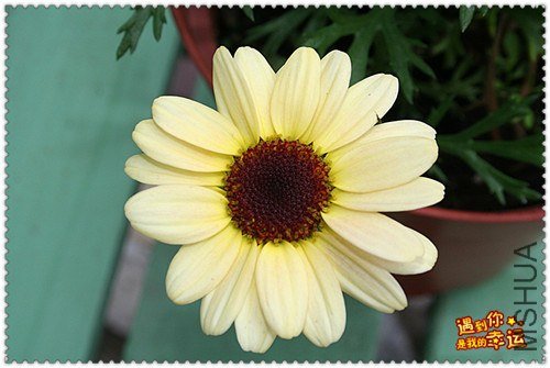 ��Ƭ 025c_����.jpg