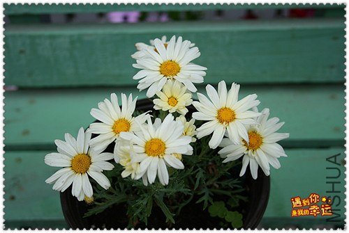 ��Ƭ 026a_����.jpg