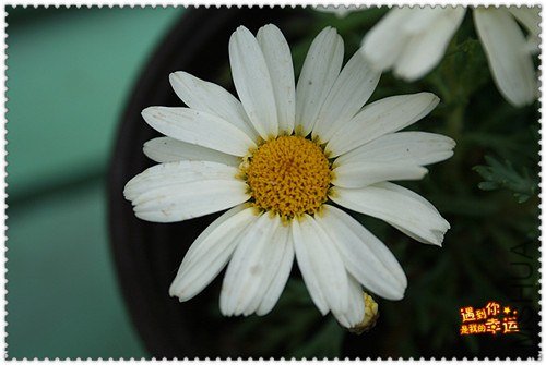 ��Ƭ 026b_����.jpg