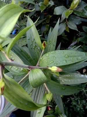 2013-05-24-1123.jpg