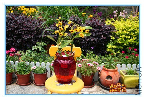 ��Ƭ 001_����.jpg