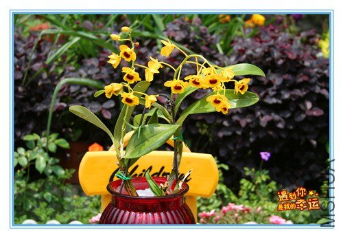 ��Ƭ 003_����.jpg