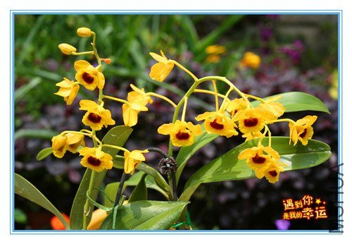 ��Ƭ 005_����.jpg