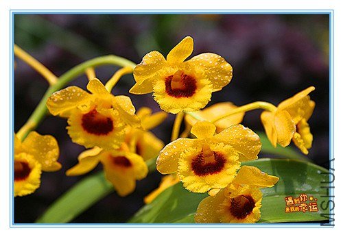 ��Ƭ 007_����.jpg