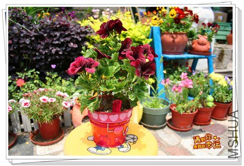 ��Ƭ 009_����.jpg