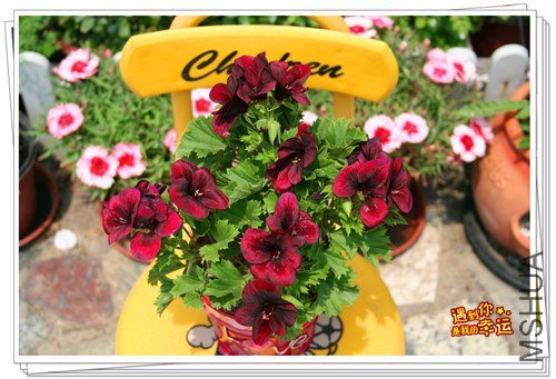 ��Ƭ 013_����.jpg