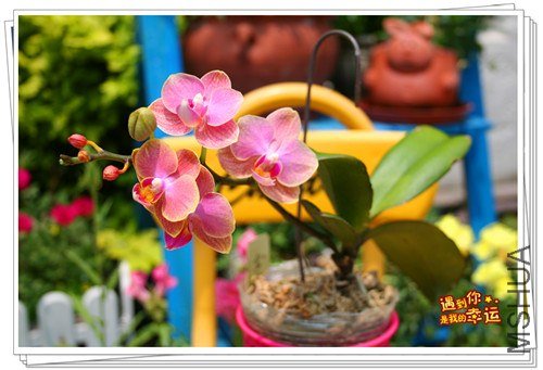 ��Ƭ 053_����.jpg