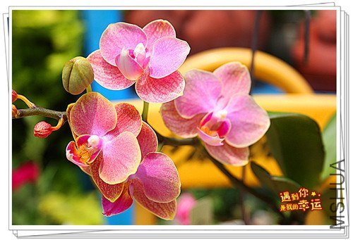 ��Ƭ 055_����.jpg