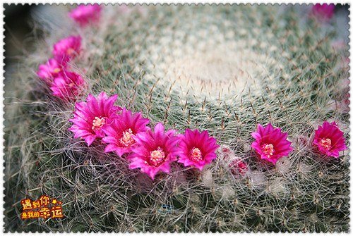 ��Ƭ 113_����.jpg