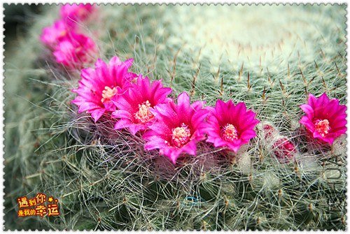 ��Ƭ 114_����.jpg