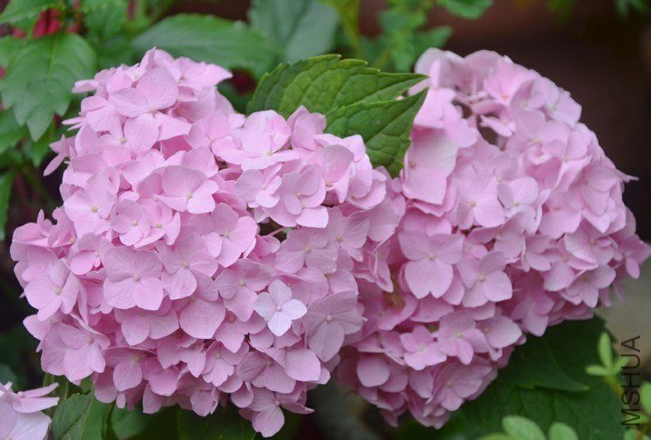 QQͼƬ20130524172433.jpg