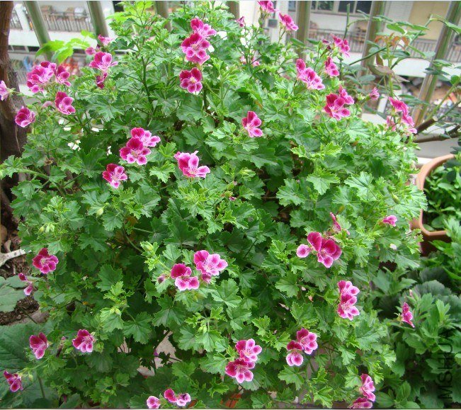 QQͼƬ20130524224529.jpg