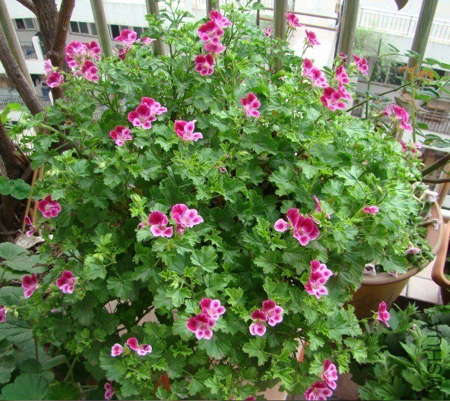 QQͼƬ20130524224553.jpg