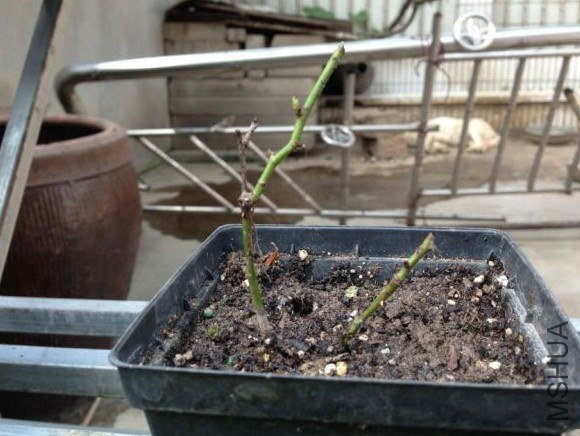 QQͼƬ20130525123652.jpg