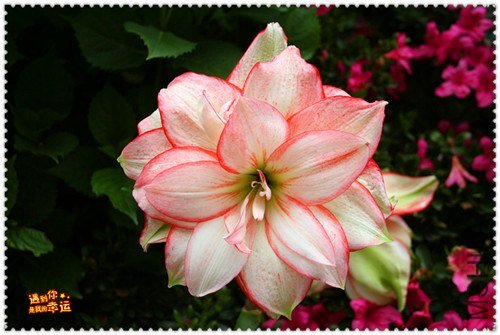 ��Ƭ 010_����.jpg