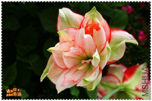 ��Ƭ 012_����.jpg