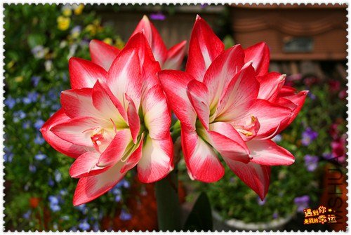 ��Ƭ 037_����.jpg