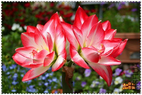 ��Ƭ 039_����.jpg