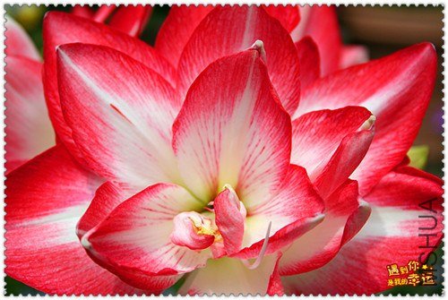 ��Ƭ 043_����.jpg