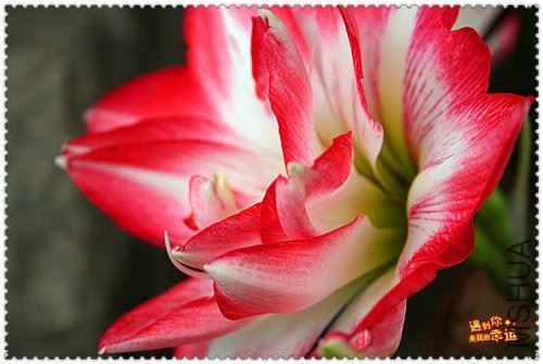 ��Ƭ 044_����.jpg