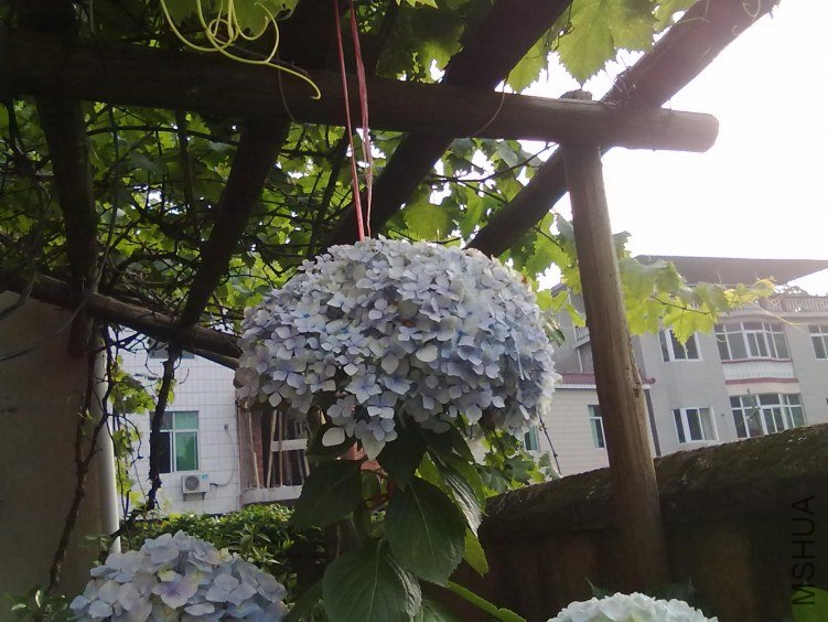 201305252945.jpg