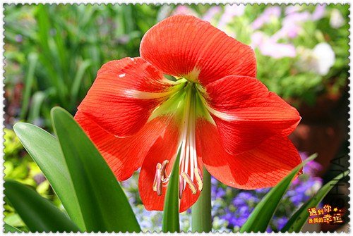 ��Ƭ 045_����.jpg