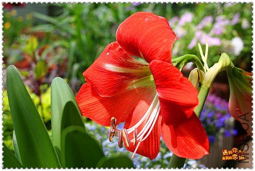 ��Ƭ 047_����.jpg