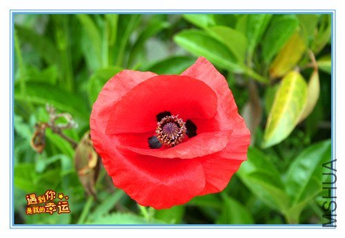 ��Ƭ 065_����.jpg