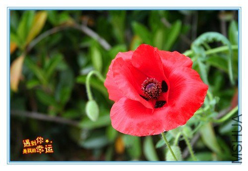 ��Ƭ 066_����.jpg