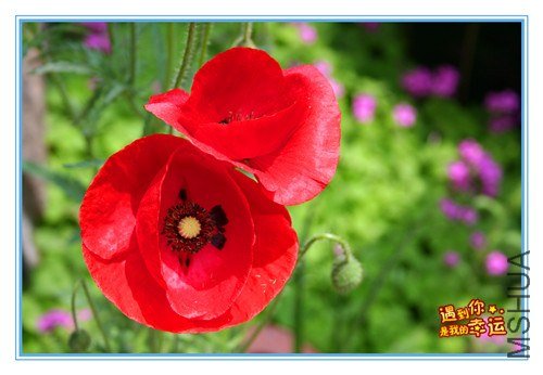 ��Ƭ 067_����.jpg