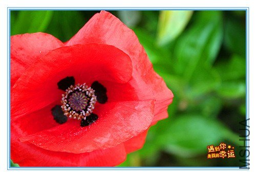 ��Ƭ 068_����.jpg