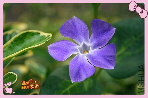 ��Ƭ 087_����.jpg