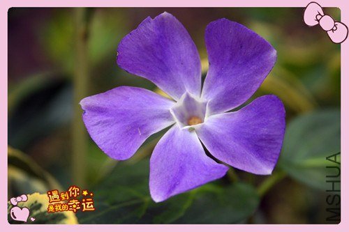 ��Ƭ 088_����.jpg