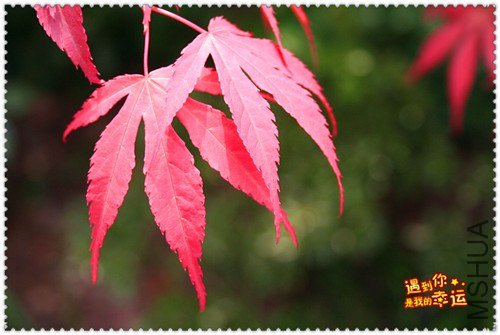 ��Ƭ 079_����.jpg