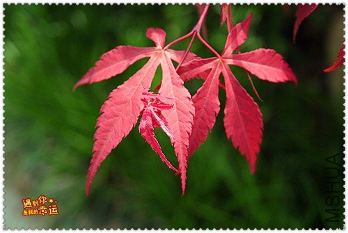 ��Ƭ 081_����.jpg