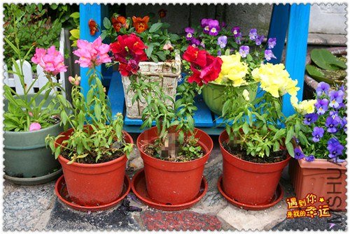 ��Ƭ 001_����.jpg