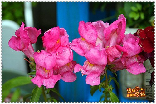 ��Ƭ 003_����.jpg