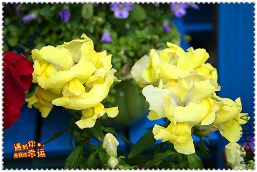 ��Ƭ 005_����.jpg