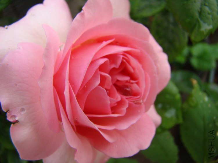 QQ��ͼ20130525102911.jpg