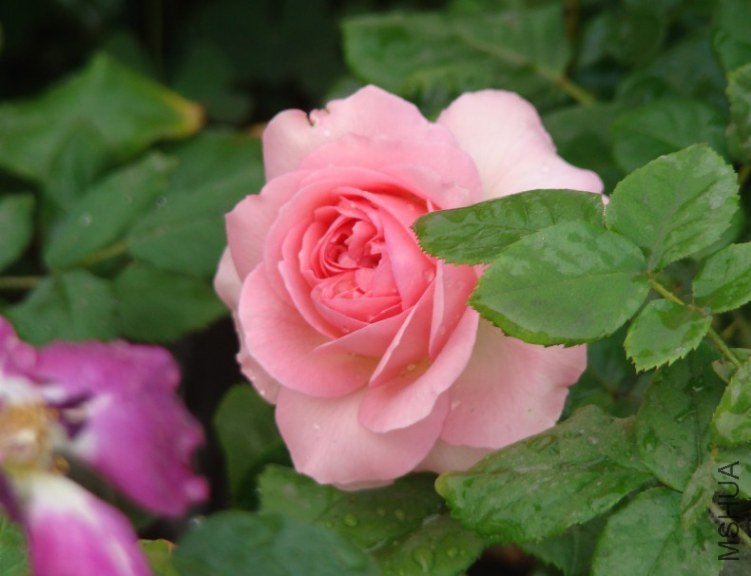 QQ��ͼ20130525103145.jpg
