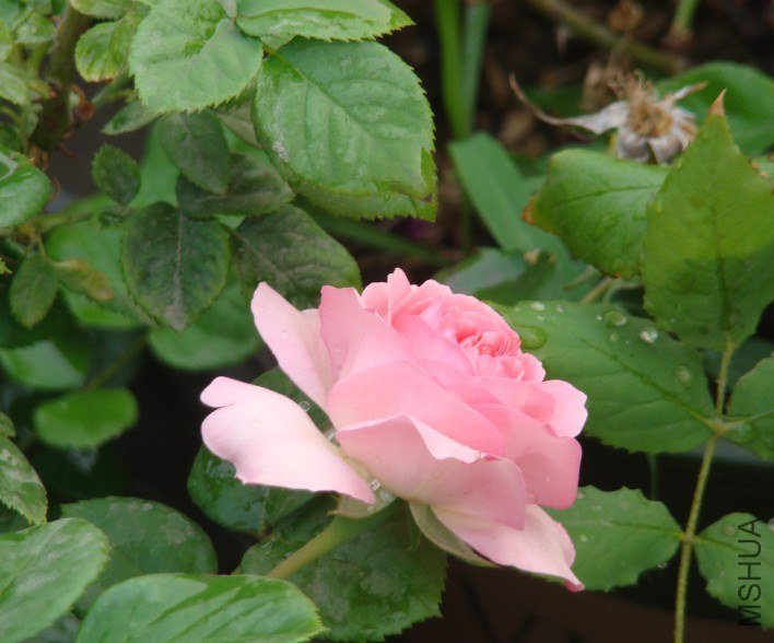 QQ��ͼ20130525104743.jpg
