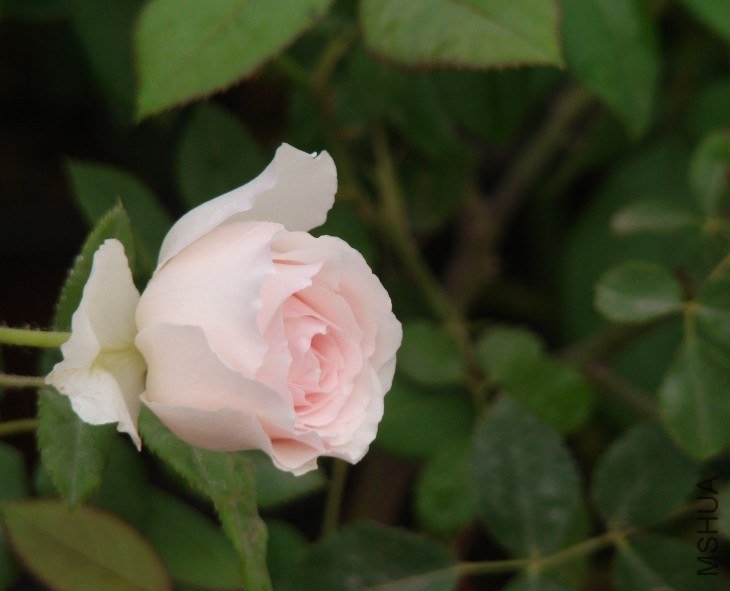 QQ��ͼ20130523121743.jpg