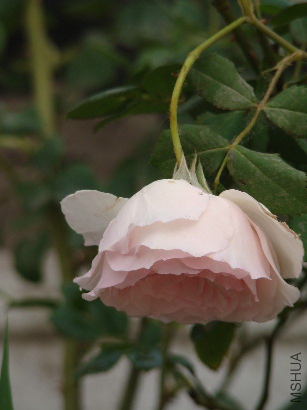 QQ��ͼ20130523121804.jpg