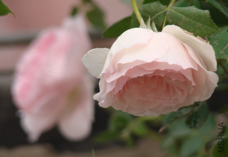 QQ��ͼ20130523121849.jpg
