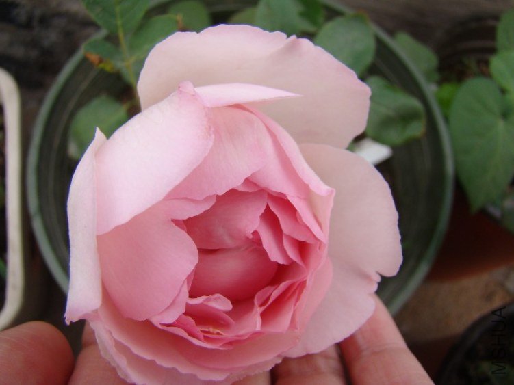 QQ��ͼ20130523115910.jpg