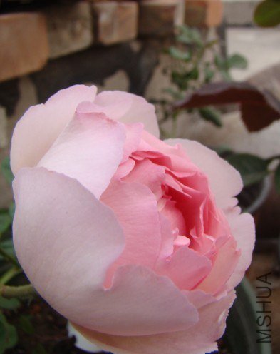 QQ��ͼ20130523120530.jpg