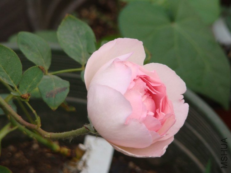 QQ��ͼ20130523121924.jpg
