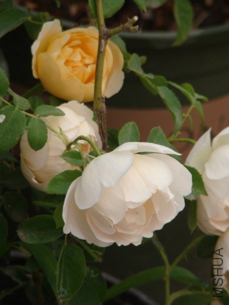 QQ��ͼ20130523121715.jpg